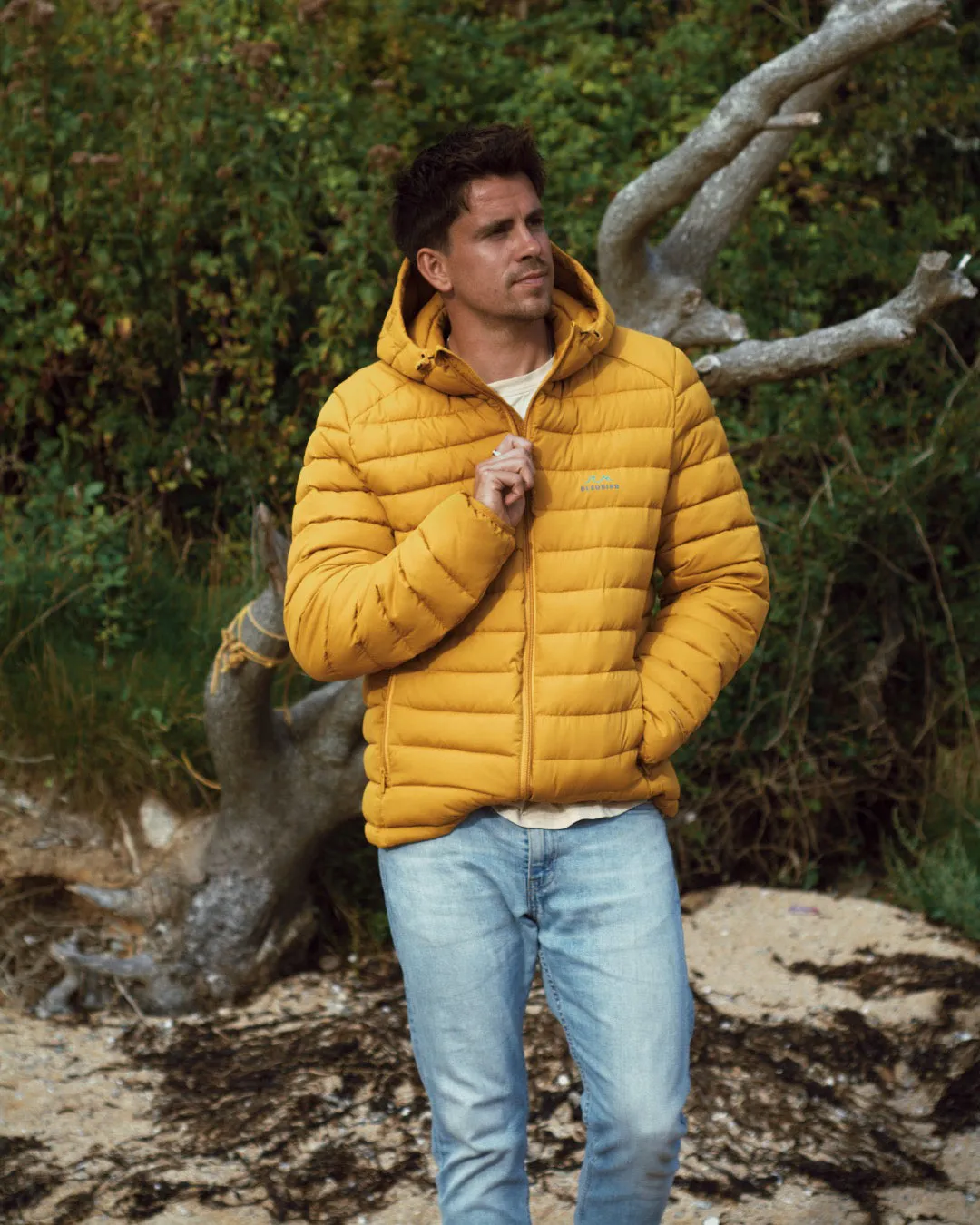 Tabor Jacket - Mens - Mustard